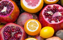 how to start a health food store
