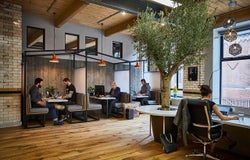 The Colony Ancoates Manchester