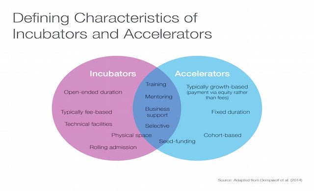 Incubator and accelerator characteristics