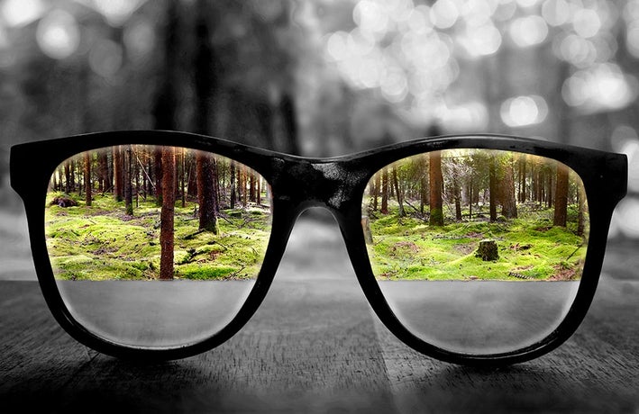 Glasses in a forest, clarity