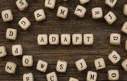 Adapt