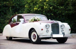 starting a wedding car hire business