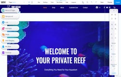 Wix aquariam template