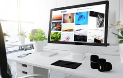 photography portfolio