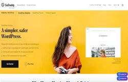 GoDaddy WordPress screenshot