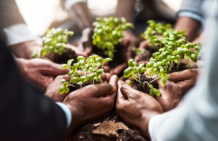 Plants, business hands and group of people gardening, agriculture or sustainable growth, teamwork and startup. Palm, plant and circle of women and man with sustainability, agro project or investment.