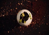a top down view of a plant emerging from a white egg