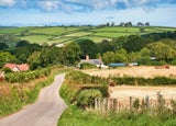 picture of a countryside setting in rural devon