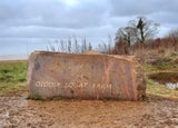 Diddly Squat farm shop (1)