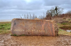 Diddly Squat farm shop (1)