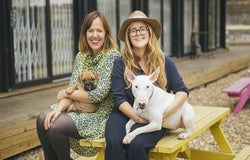 Startups 100 2017: Digital Mums