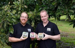 Holy Moly Dips Startups 100 2020