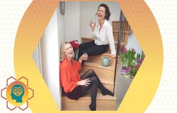 hive minded startups 100